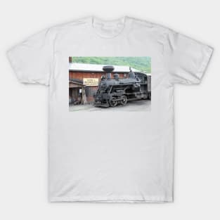 Durbin Scenic Railway, Durbin West Virginia T-Shirt